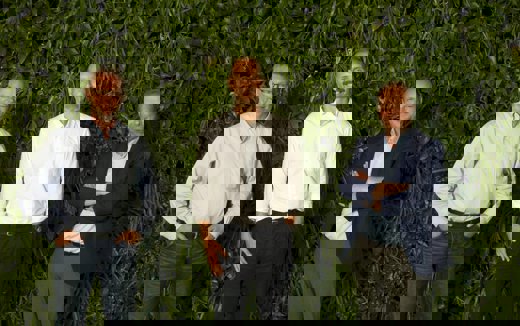 Nuudays produkter på hele Norlys’ fibernet