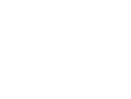 NemNet