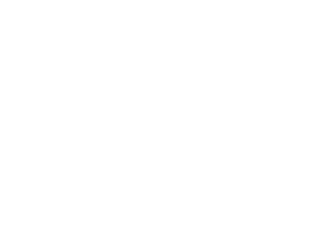 Procopa IT